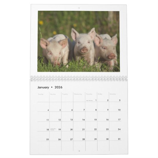 Les porcelets heureux 2015 - calendrier mignon de (Jan 2026)