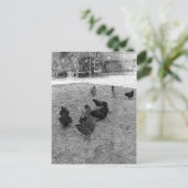 Les poules dans la Barn Yard Cartes postales (Debout devant)