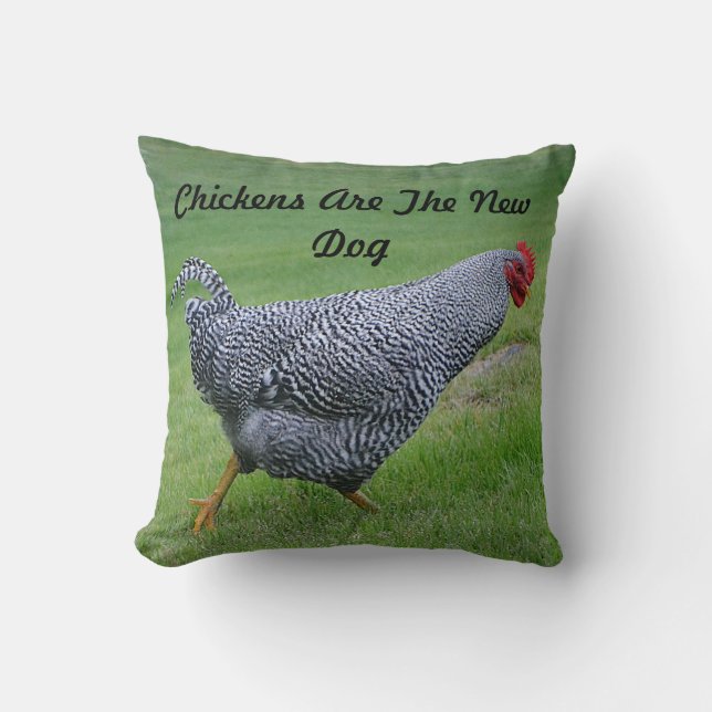 Les Poulets Sont Le Nouveau Coussin De Chien (Recto)