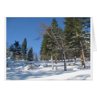 Les premiers matins dans les Sierras