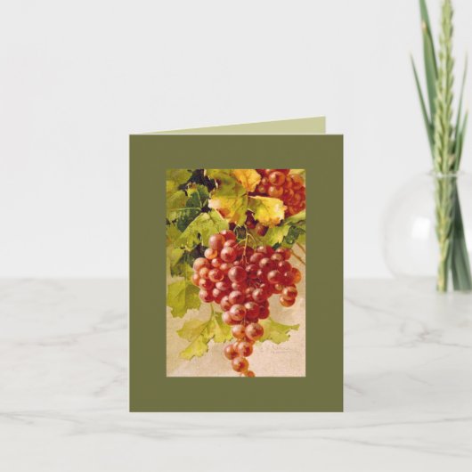 Les raisins Catherine Klein. CARTE DE REMARQUE OLG (Devant)