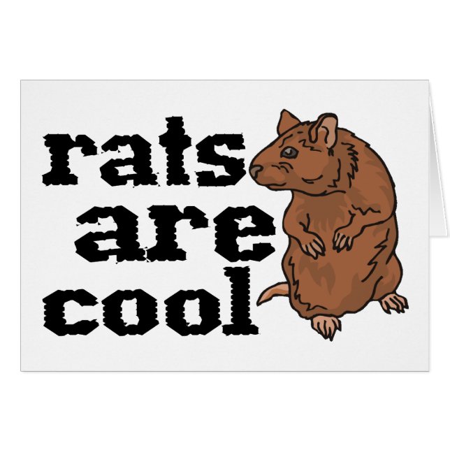 Les rats sont frais (Devant horizontal)