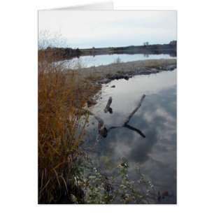 Les Réflexions Parfaites