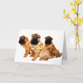 Les rides sont belle carte de voeux (Fleur jaune)