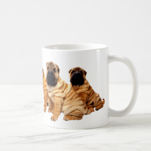 Les rides sont belle tasse