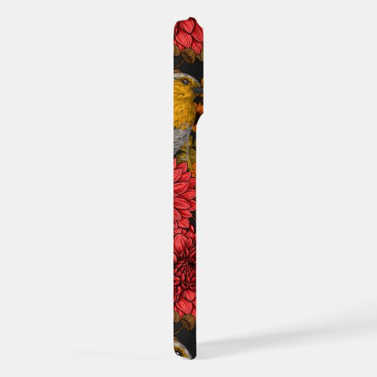 Les Robins de l'auccle garden (Côté droit)