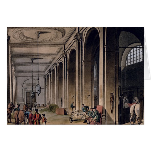 Les Rois Mews (Devant horizontal)