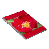 Les roses sont Carnets rouges (Côté Droit)