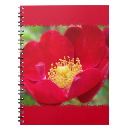 Les roses sont Carnets rouges (Devant)