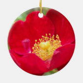 Les roses sont des ornements rouges (Dos)