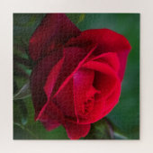 Les roses Sont Rouges 20"x20" Difficile Puzzle (Horizontal)