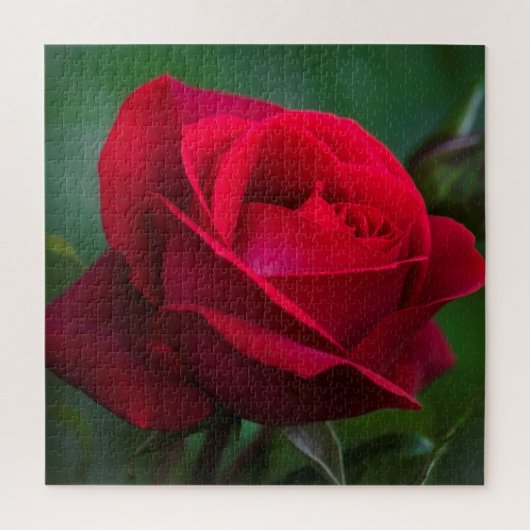 Les roses Sont Rouges 20"x20" Difficile Puzzle (Vertical)
