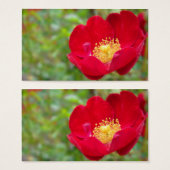 Les roses sont Signets rouges (Devant & derrière)