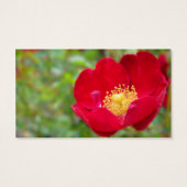 Les roses sont Signets rouges (Dos)