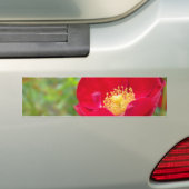 Les roses Sont Un Sticker Rouge Bumper (En voiture)