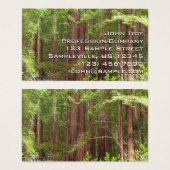 Les séquoias au monument national de Muir Woods (Devant & derrière)