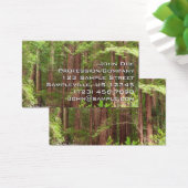 Les séquoias au monument national de Muir Woods (Bureau)