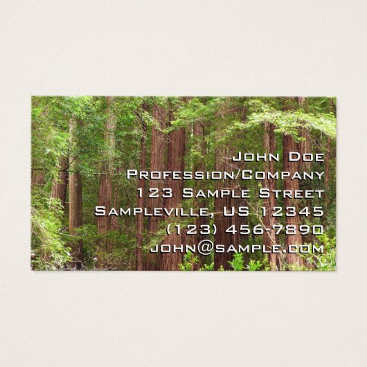 Les séquoias au monument national de Muir Woods (Devant)