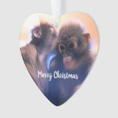 Les singes (devant)