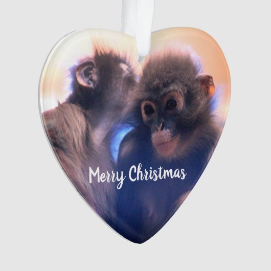 Les singes (devant)