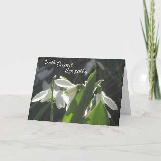 Les Snowdrops Cust. Carte de symboles de texte (Devant)