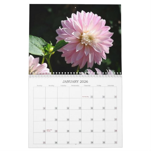 Les soeurs sont Forever ! Cadeaux de calendriers (Jan 2026)