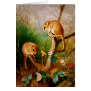 Les souris sont Nice