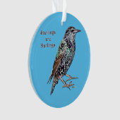 Les Starlings Sont Des Darlings (devant)