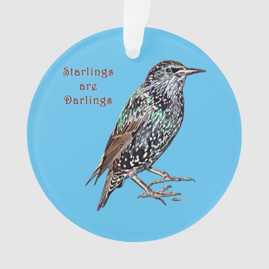 Les Starlings Sont Des Darlings (devant)