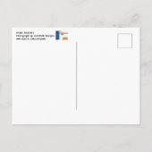 Les tambours font la carte postale Talking (Dos)