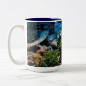 Les tasses de Coral Reef (Gauche)