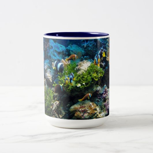 Les tasses de Coral Reef (Centre)