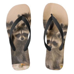 Les tongs de Raccoon.