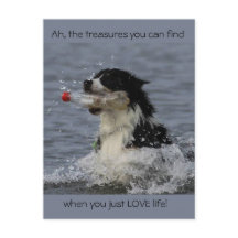 Les trésors de la vie, carte postale