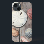 Les trésors marins<br><div class="desc">Megan Meagher est connue pour ses oeuvres d'art simples. Cette image montre la simplicité des trésors du bord de mer, dont les dollars de sable et les coquillages dans un ton pastel. Meagher embrasse à son image un arrière - plan en bois pour contraster ces trésors. Obtenez cette impression fine...</div>