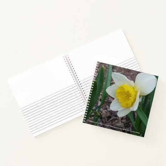 Les trucs que j'aime Carnet par RoseWrites (Intérieur)