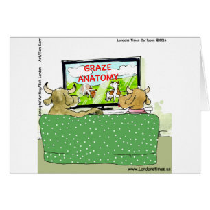 Les vaches divertissantes amusantes