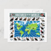 Les vautours de la carte mondiale (Devant / Derrière)