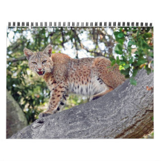 Les villages oiseau et calendrier de faune