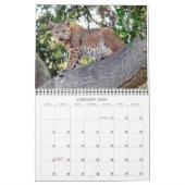 Les villages oiseau et calendrier de faune (Jan 2026)