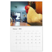 Les vrais huent le calendrier de Roo 2019 (Feb 2026)