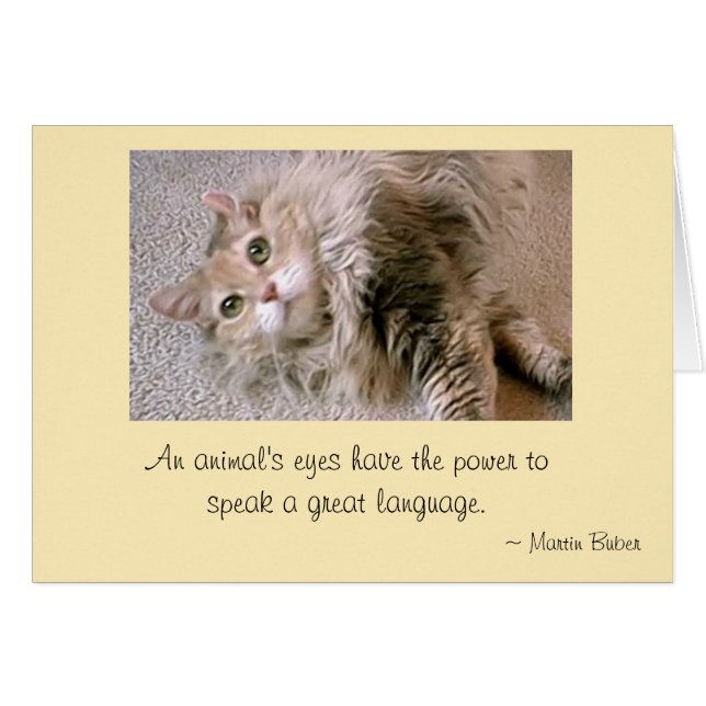 Les yeux de Mattie (Devant horizontal)