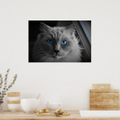 Les Yeux du Chat, décoration murale (Cuisine)