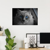 Les Yeux du Chat, décoration murale (Bureau à domicile)