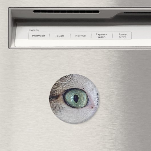 "Les yeux l'ont", aimant oeil de chat (In Situ (Lave-vaisselle))
