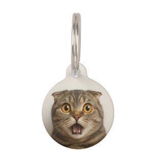 Lesbiennes eten wat grappigs huisdierpenning