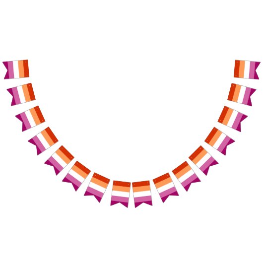 Lesbische Pride vlag Vlaggetjes (Alle)