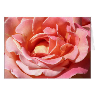 L'escalade démodée s'est levée