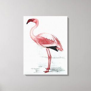 leser Flamingo Claude Gibney Finch Davies Canvas Afdruk