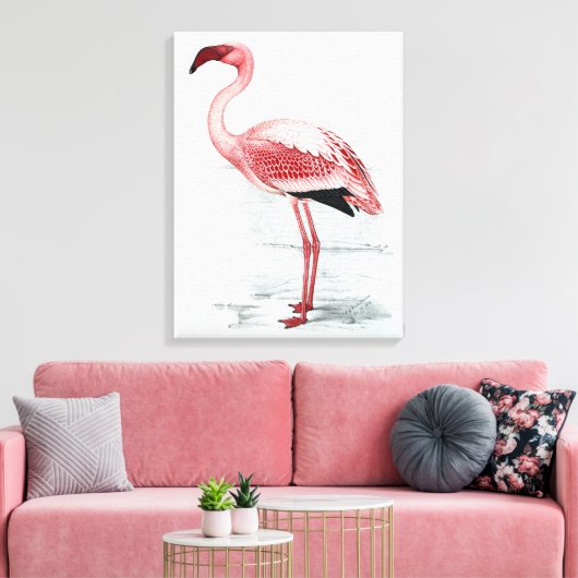 leser Flamingo Claude Gibney Finch Davies Canvas Afdruk (Insitu (Woonkamer))